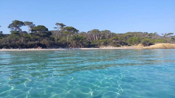 porquerolles var pinède eau turquoise vacances