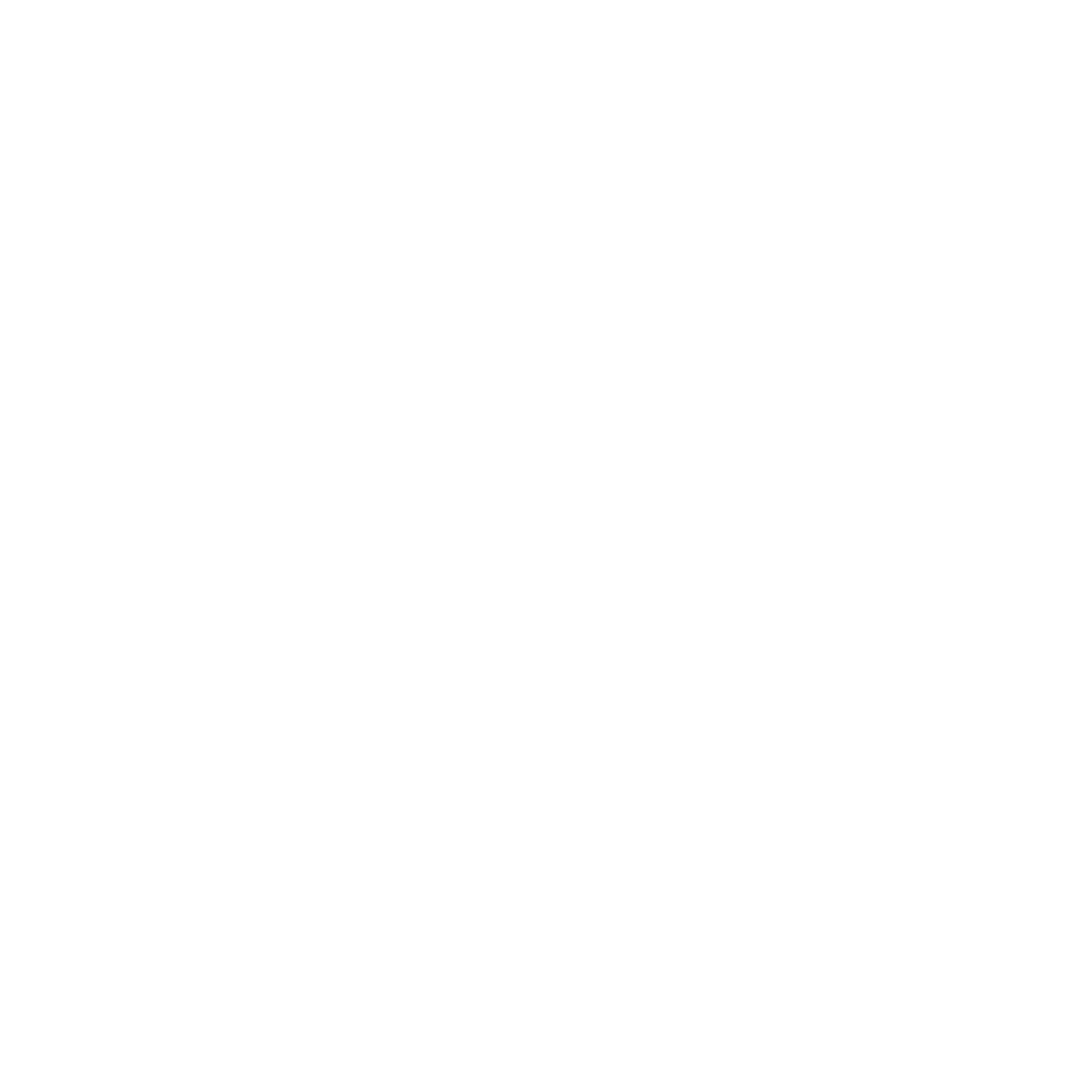 Logo-Spinout-blanc